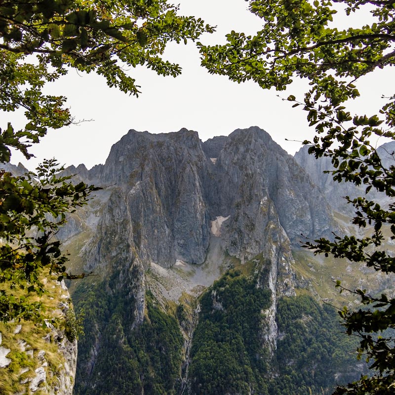 Вид на скалы из леса