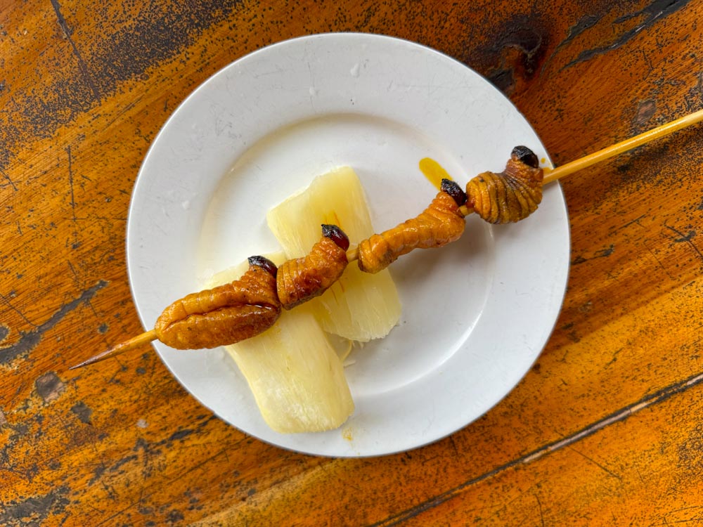 Личинки жуков на гриле — кухня Амазонки / Grilled larvae Amazonian food