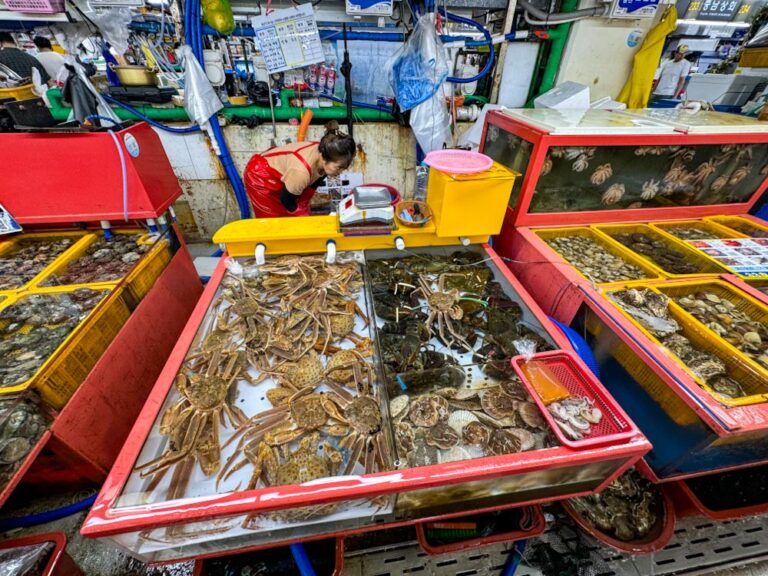 Прилавок на рыбном рынке в Пусане / Fish market in Busan